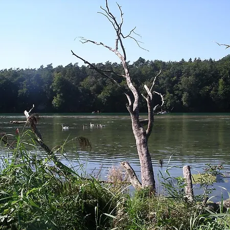 Гостевой дом & Hirschen-stetten